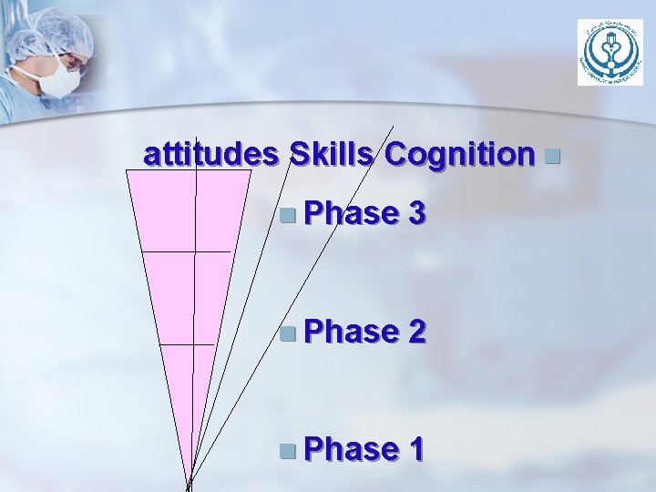 attitudes Skills Cognition n n Phase 3 n Phase 2 n Phase 1 