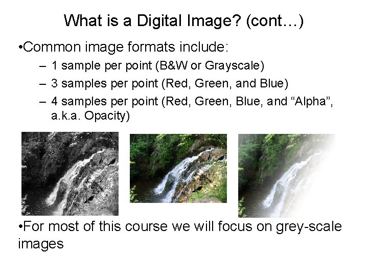 What is a Digital Image? (cont…) • Common image formats include: – 1 sample