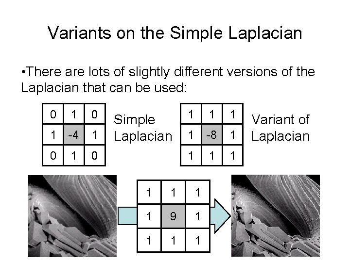 Variants on the Simple Laplacian • There are lots of slightly different versions of