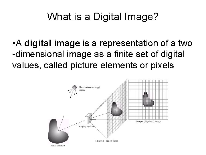 What is a Digital Image? • A digital image is a representation of a