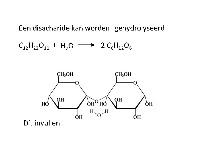 Een disacharide kan worden gehydrolyseerd C 12 H 22 O 11 + H 2