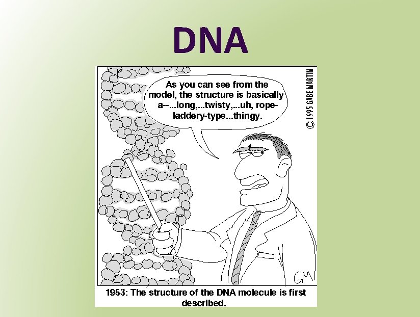 DNA 