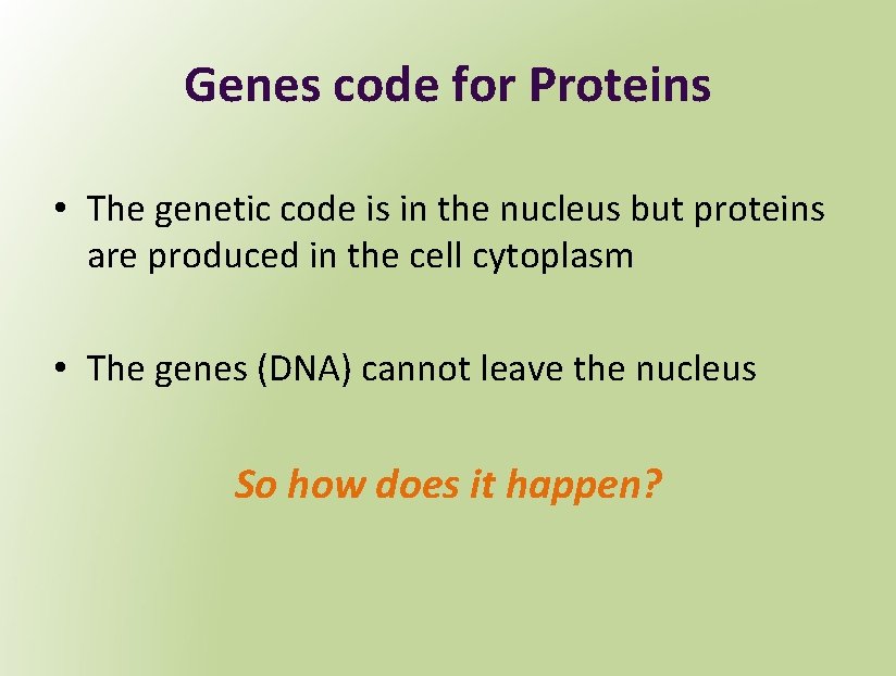 Genes code for Proteins • The genetic code is in the nucleus but proteins