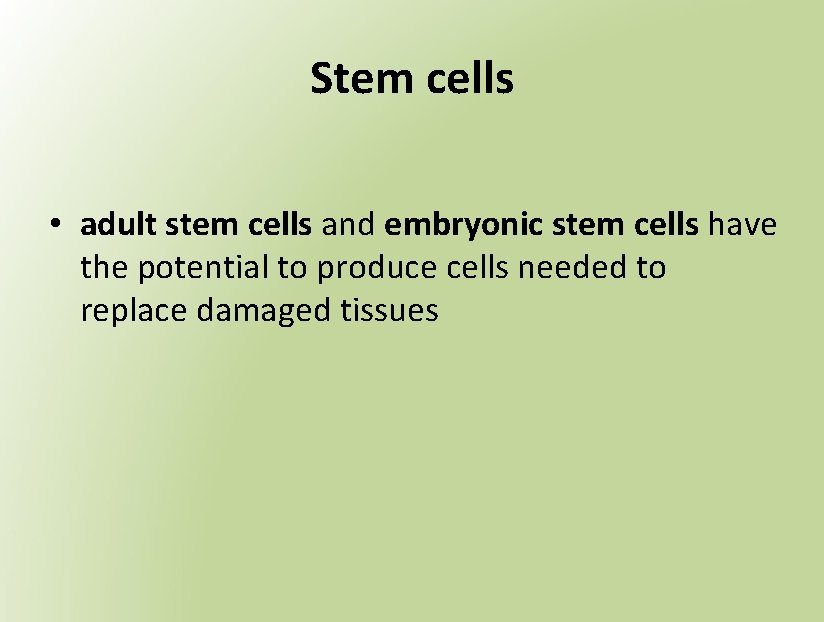 Stem cells • adult stem cells and embryonic stem cells have the potential to