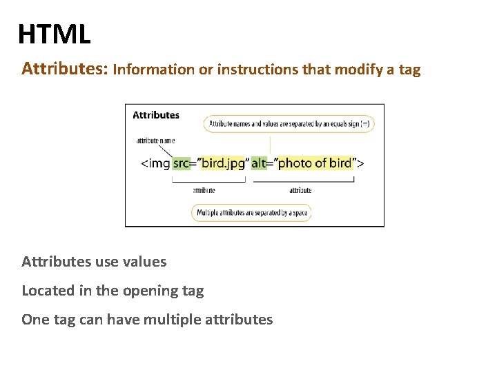 HTML Attributes: Information or instructions that modify a tag Attributes use values Located in HTML Attributes: Information or instructions that modify a tag Attributes use values Located in