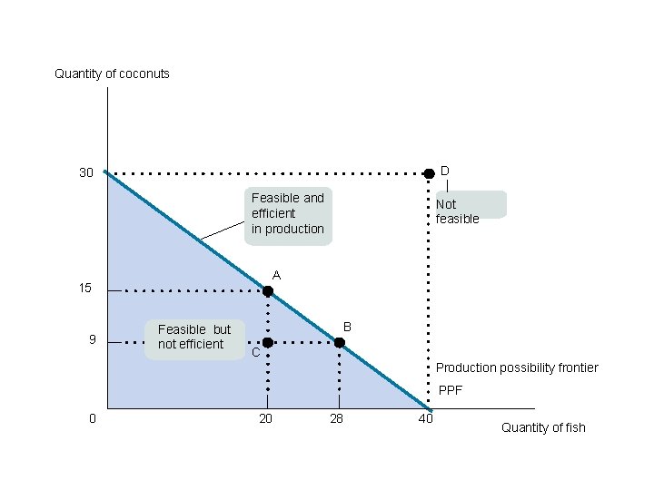 Quantity of coconuts D 30 Feasible and efficient in production A 15 9 Not