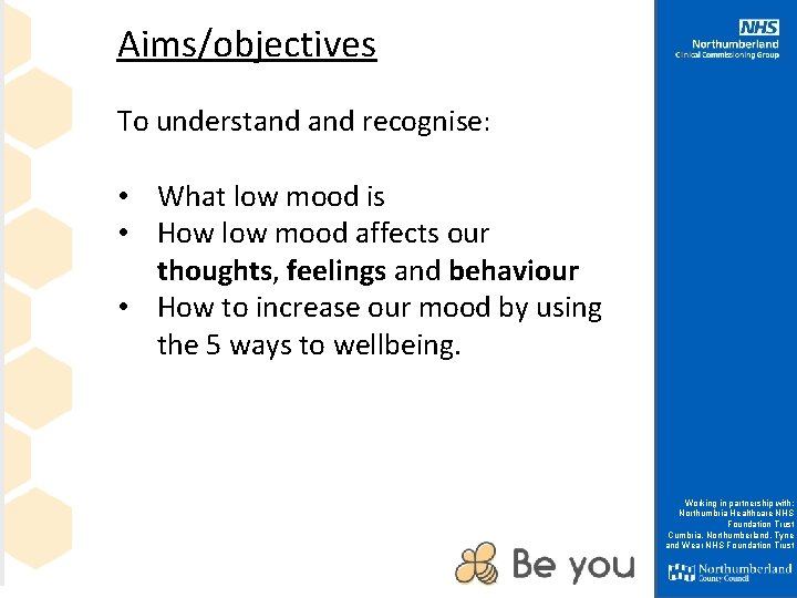 Aims/objectives To understand recognise: • What low mood is • How low mood affects