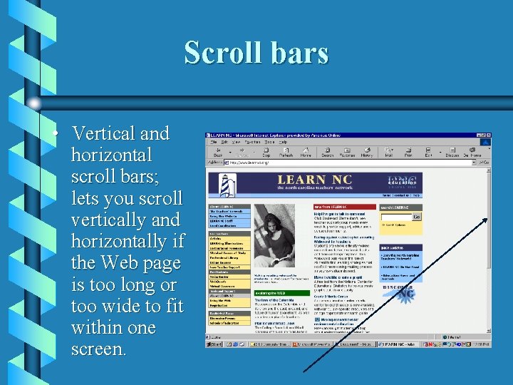 Scroll bars • Vertical and horizontal scroll bars; lets you scroll vertically and horizontally