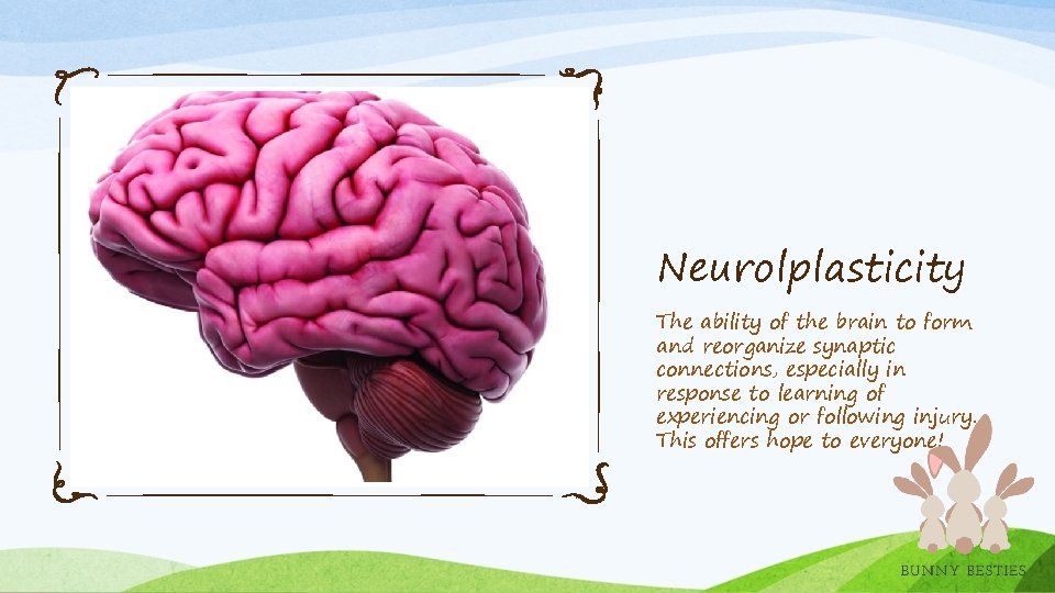 Neurolplasticity The ability of the brain to form and reorganize synaptic connections, especially in