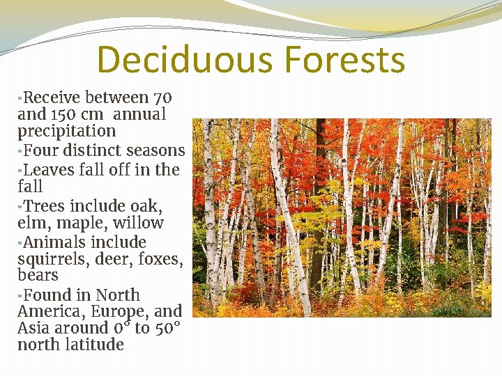 Deciduous Forests ▪Receive between 70 and 150 cm annual precipitation ▪Four distinct seasons ▪Leaves
