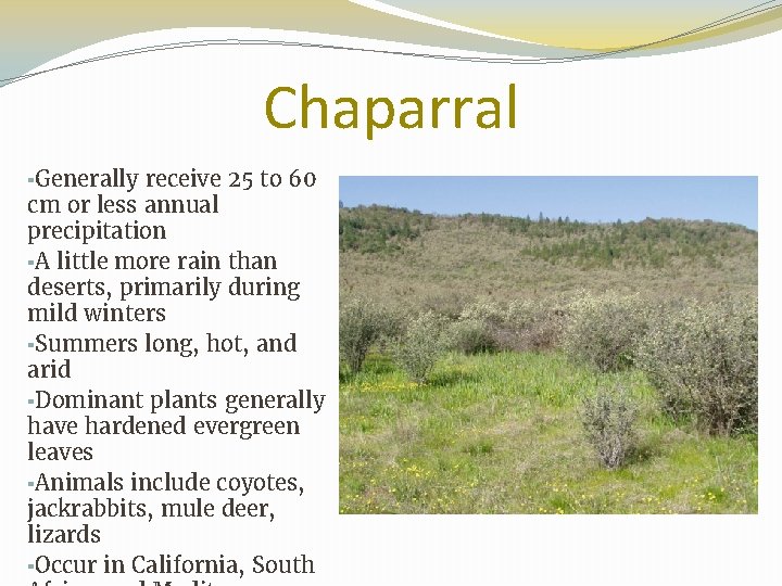Chaparral ▪Generally receive 25 to 60 cm or less annual precipitation ▪A little more