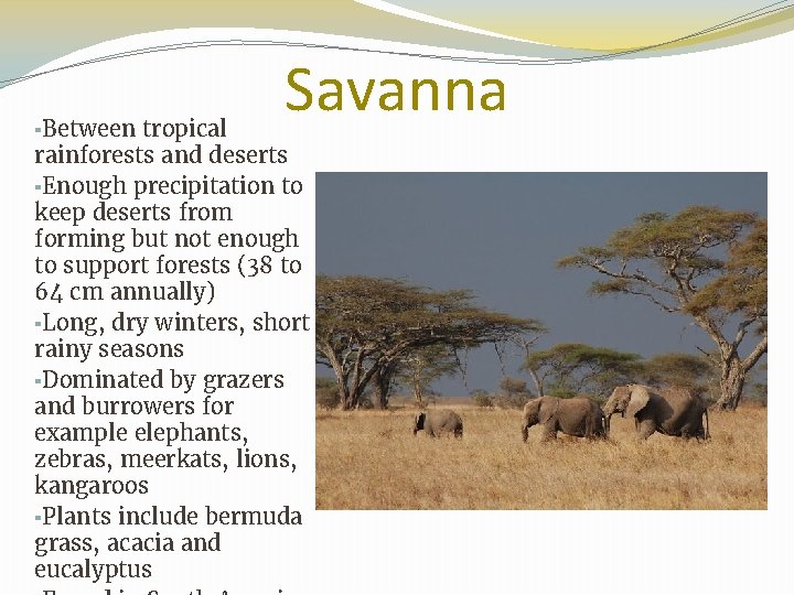 Savanna ▪Between tropical rainforests and deserts ▪Enough precipitation to keep deserts from forming but