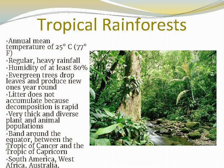Tropical Rainforests ▪Annual mean temperature of 25° C (77° F) ▪Regular, heavy rainfall ▪Humidity