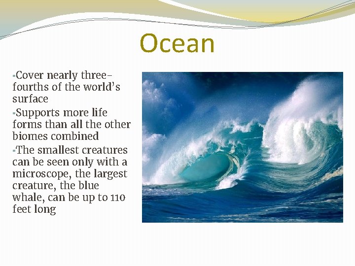 Ocean ▪Cover nearly threefourths of the world’s surface ▪Supports more life forms than all