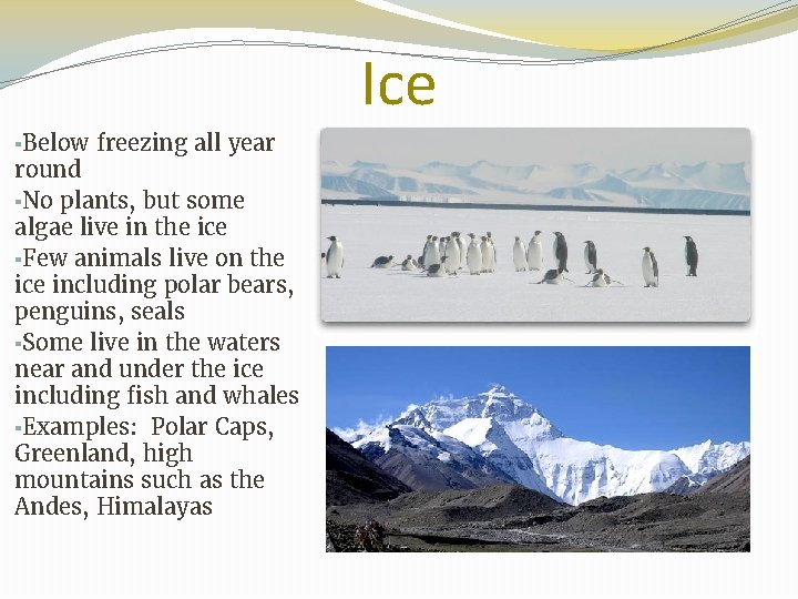 Ice ▪Below freezing all year round ▪No plants, but some algae live in the