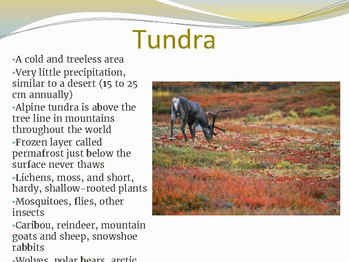 Tundra ▪A cold and treeless area ▪Very little precipitation, similar to a desert (15