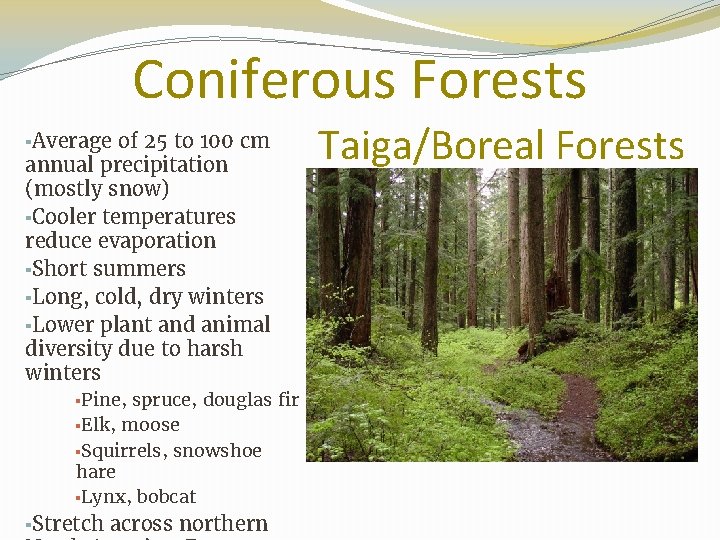 Coniferous Forests ▪Average of 25 to 100 cm annual precipitation (mostly snow) ▪Cooler temperatures