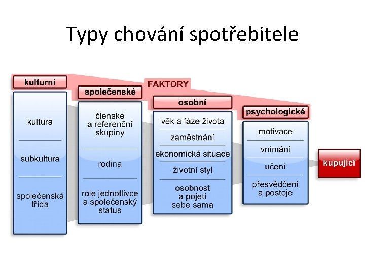 Typy chování spotřebitele 