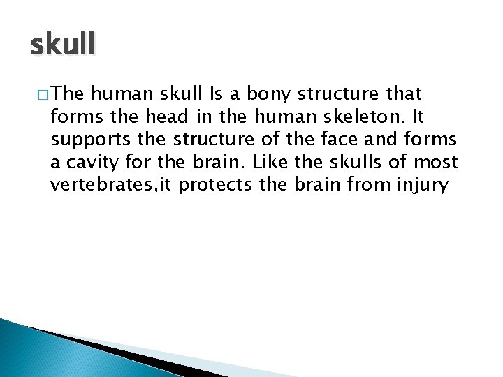 skull � The human skull Is a bony structure that forms the head in