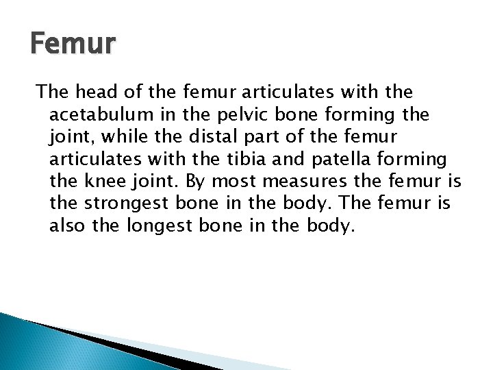 Femur The head of the femur articulates with the acetabulum in the pelvic bone