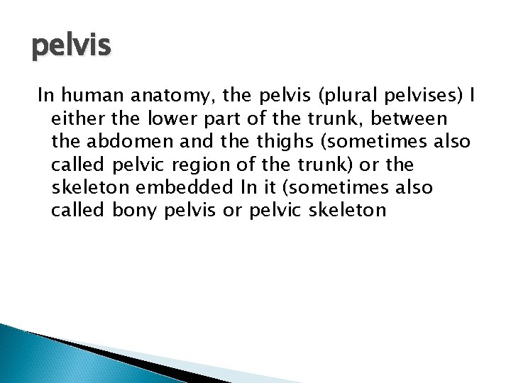 pelvis In human anatomy, the pelvis (plural pelvises) I either the lower part of
