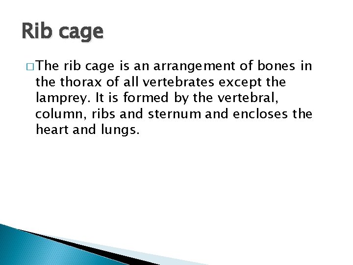 Rib cage � The rib cage is an arrangement of bones in the thorax