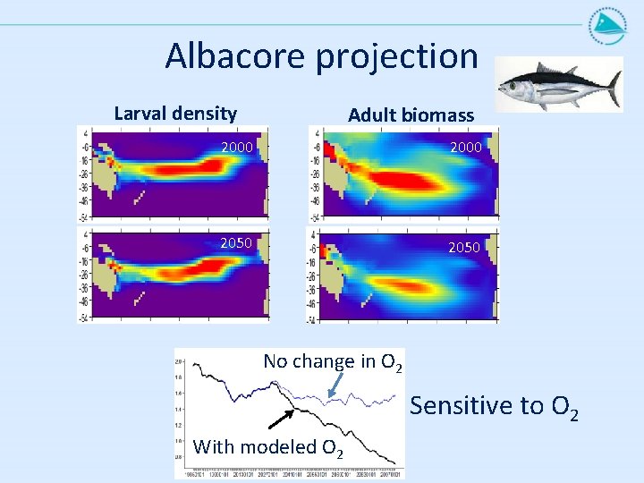 Albacore projection Larval density Adult biomass 2000 2050 No change in O 2 Sensitive