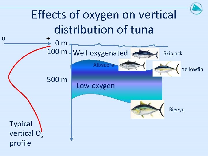0 Effects of oxygen on vertical distribution of tuna + 0 m 100 m