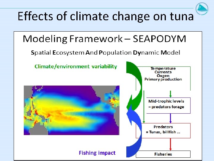 Effects of climate change on tuna 