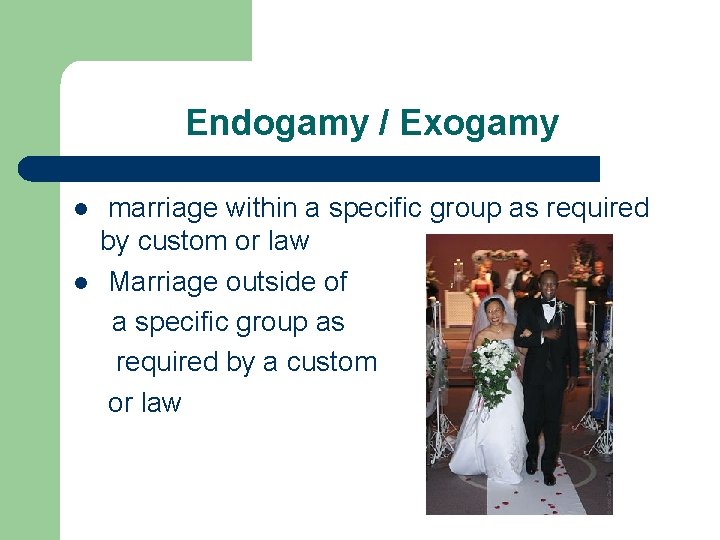 Endogamy / Exogamy l l marriage within a specific group as required by custom