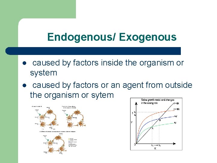 Endogenous/ Exogenous l l caused by factors inside the organism or system caused by