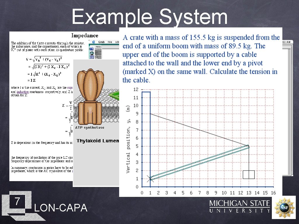 Example System 7 LON-CAPA 