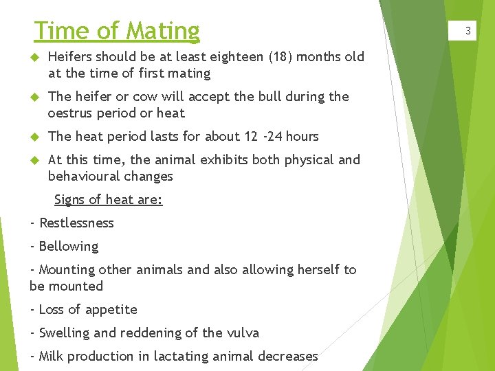 Time of Mating Heifers should be at least eighteen (18) months old at the