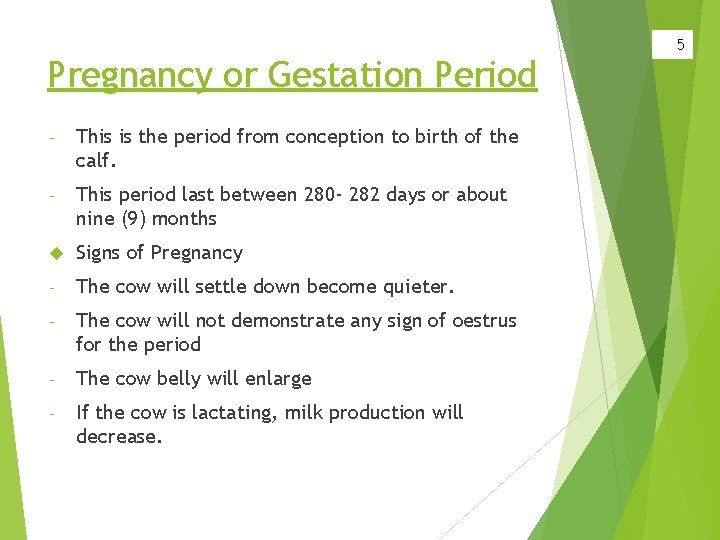 Pregnancy or Gestation Period - This is the period from conception to birth of