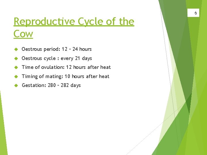 Reproductive Cycle of the Cow Oestrous period: 12 – 24 hours Oestrous cycle :