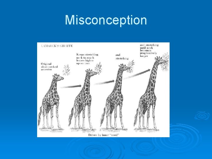 Misconception 