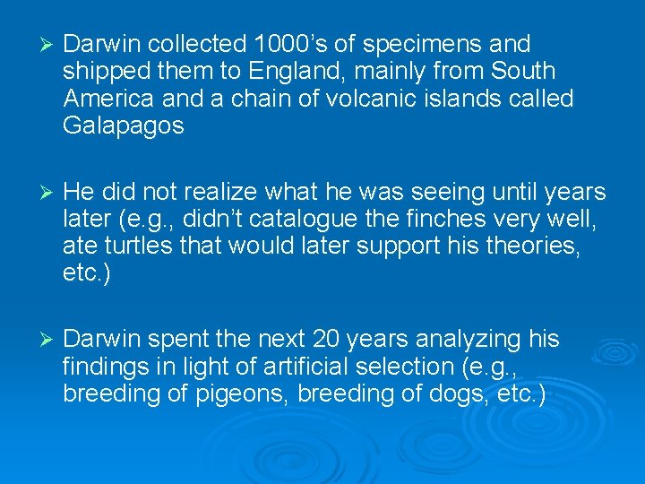 Ø Darwin collected 1000’s of specimens and shipped them to England, mainly from South
