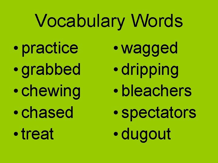 Vocabulary Words • practice • grabbed • chewing • chased • treat • wagged