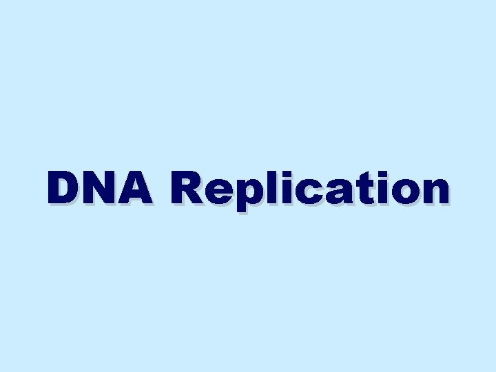 DNA Replication 