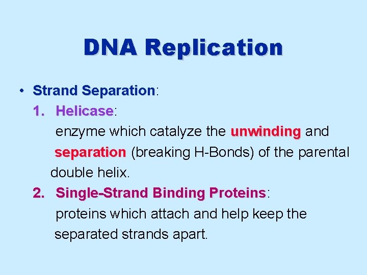 DNA Replication • Strand Separation: Separation 1. Helicase: Helicase enzyme which catalyze the unwinding