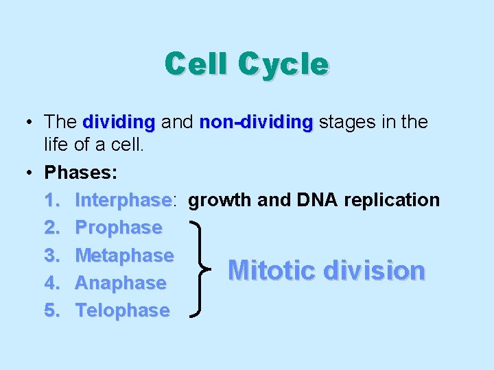 Cell Cycle • The dividing and non-dividing stages in the life of a cell.