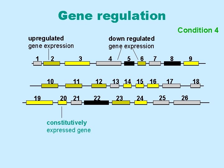 Gene regulation Condition 43 upregulated gene expression 1 2 10 19 down regulated gene