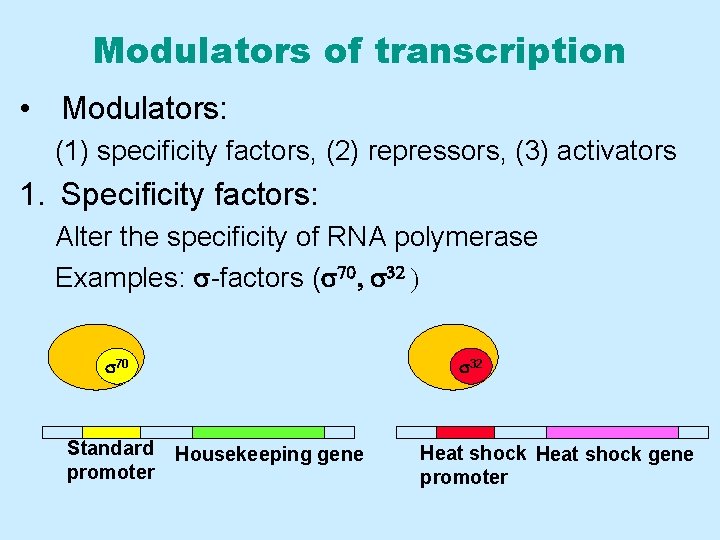 Modulators of transcription • Modulators: (1) specificity factors, (2) repressors, (3) activators 1. Specificity