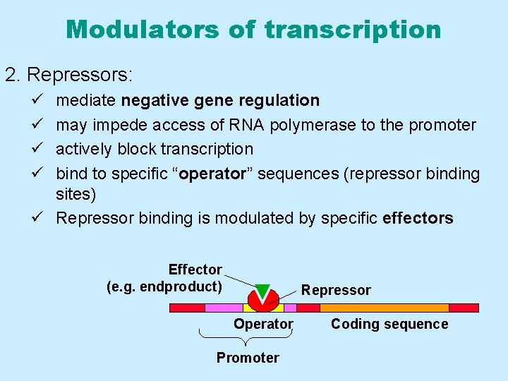 Modulators of transcription 2. Repressors: ü ü mediate negative gene regulation may impede access