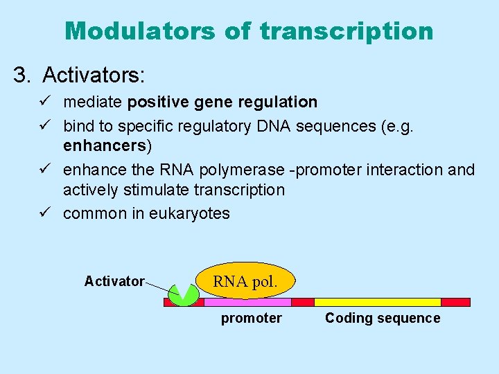 Modulators of transcription 3. Activators: ü mediate positive gene regulation ü bind to specific