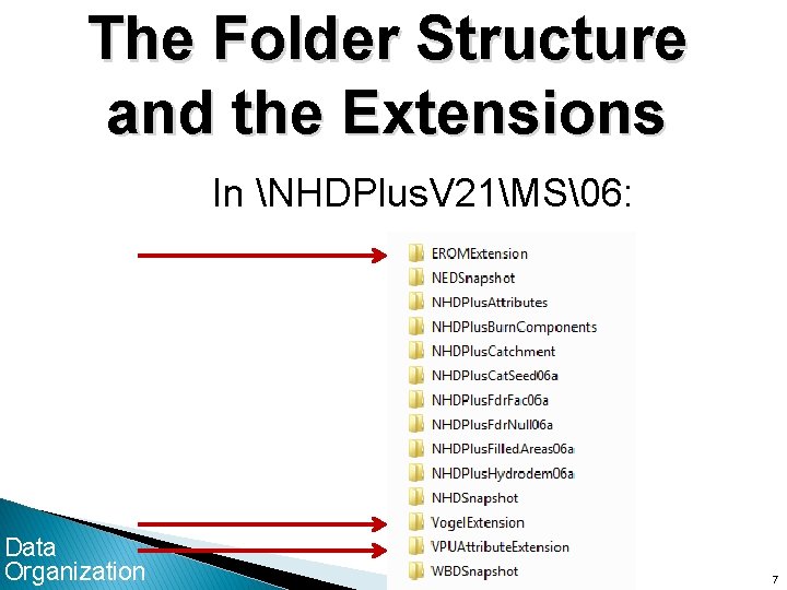 The Folder Structure and the Extensions In NHDPlus. V 21MS�6: Data Organization 7 7