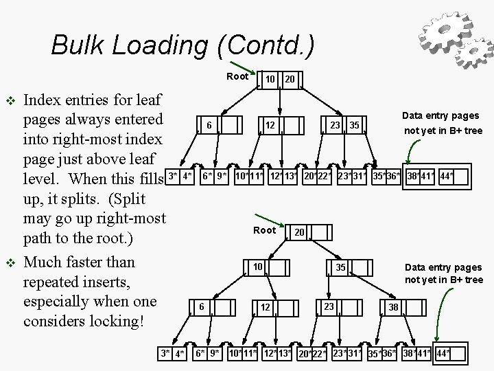 Bulk Loading (Contd. ) Root v v Index entries for leaf pages always entered Bulk Loading (Contd. ) Root v v Index entries for leaf pages always entered