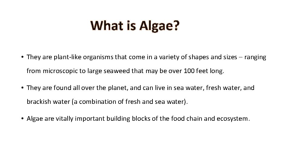 What is Algae? • They are plant-like organisms that come in a variety of