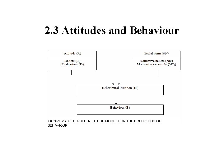 2. 3 Attitudes and Behaviour FIGURE 2. 1 EXTENDED ATTITUDE MODEL FOR THE PREDICTION