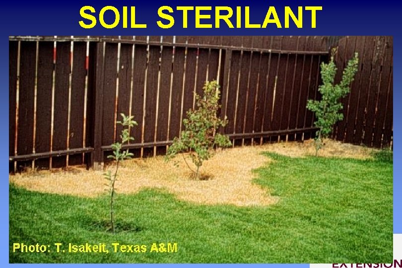 SOIL STERILANT 
